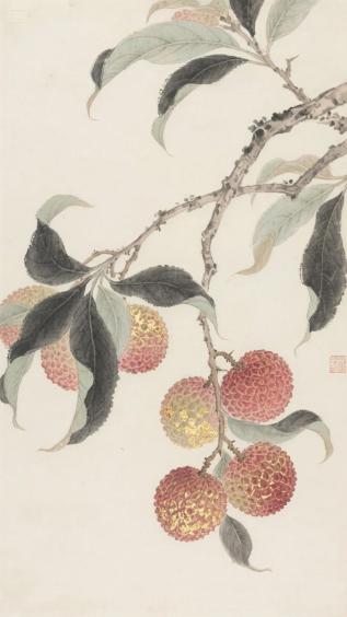 荔枝,长安的荔枝,手绘,影视