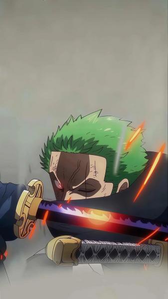 海贼王,罗罗诺亚·索隆,动漫