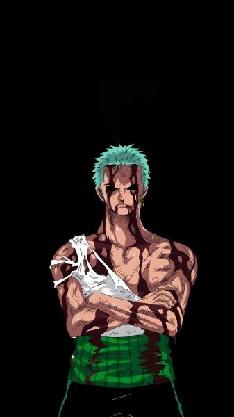 海贼王,罗罗诺亚·索隆,动漫