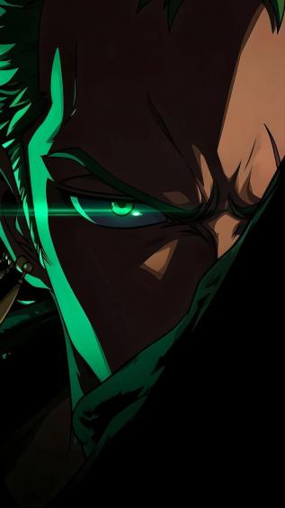 海贼王,罗罗诺亚·索隆,动漫