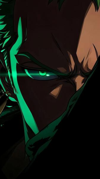 海贼王,罗罗诺亚·索隆,动漫