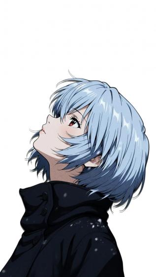 绫波丽,动漫,eva