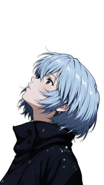 绫波丽,动漫,eva