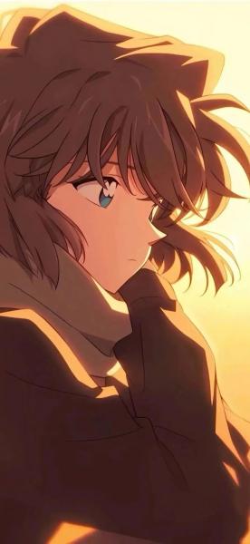 名侦探柯南,动漫,灰原哀